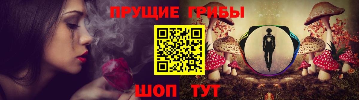 купить   Галлюциногенные грибы Psilocybe  Вход с VPN  Тамбов 